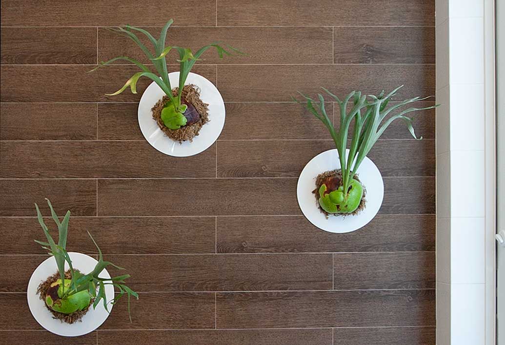 Indoor Garden Ideas by Florida Interior Designers