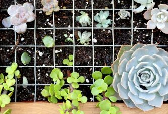 DIY Home Gardening Project With Modern Interior Designers 9