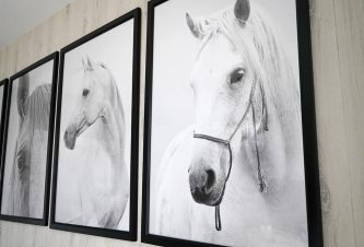 Feminine Bedroom Design With Black-and-white Horse Prints.