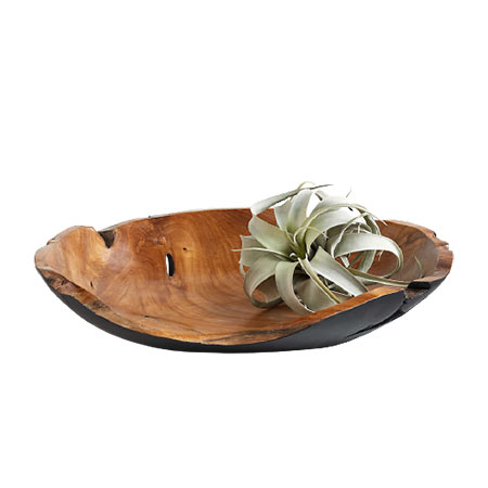 Decorative Centerpiece Bowls for Dining Tables