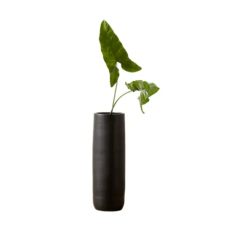 reo tall black vase